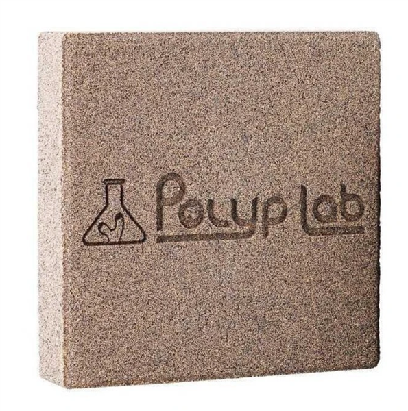 PolypLab Genesis Rock