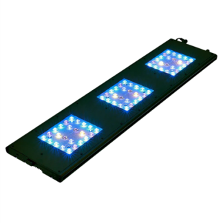 ReefBreeders Meridian 35 - Original