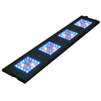 ReefBreeders Meridian 45 - Original