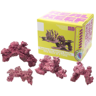 Real Reef Medium Arches 10"-12" (4 PCS)