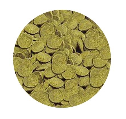 Sera Pleco Chips / 36g - Image 2