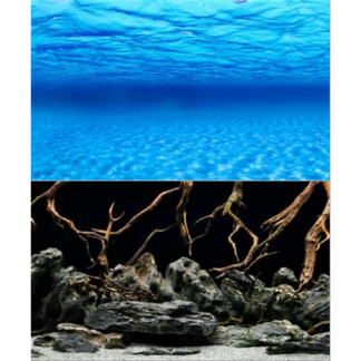 Seaview Seascape/Natural Mystic 24" x 50' Double Sided Background