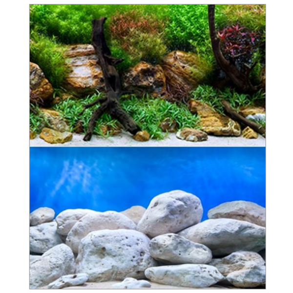 Seaview Aqua Garden/Brightstone 18" x 50' Double Sided Background