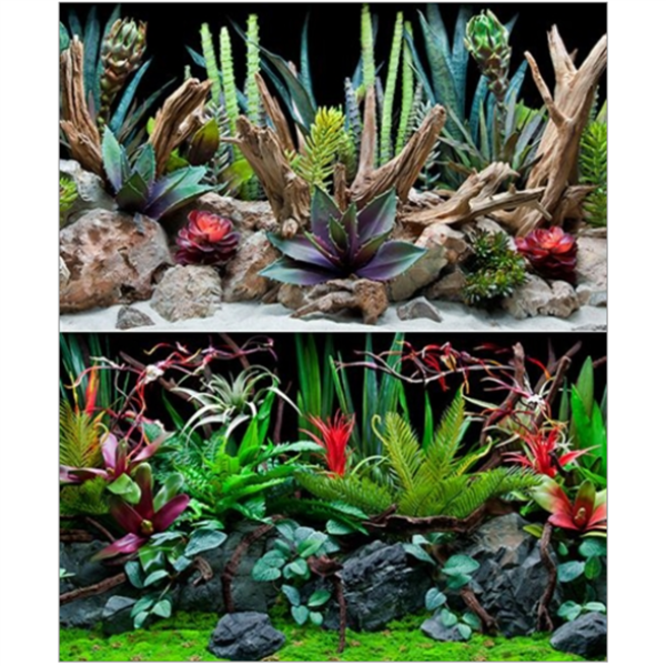 Seaview Deep Flora/Desert Dream 18" x 50' Double Sided Background
