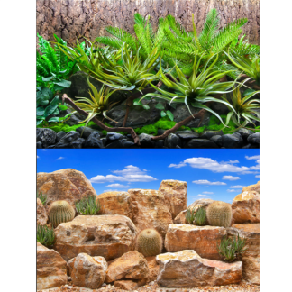 Seaview Tropical Terrarium / Desert Sky 24" x 50' Double Sided Background
