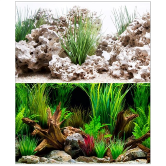 Seaview Cloudstone/ Wonderscape 24" x 50' Double Sided Background
