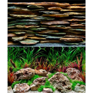 Seaview Slateways/Aqua Wild 18" x 50' Double Sided Background