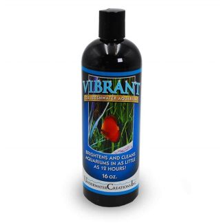 Vibrant Freshwater