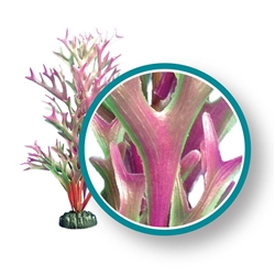 Weco Plant Red Giant Kelp 30" ~ PRO