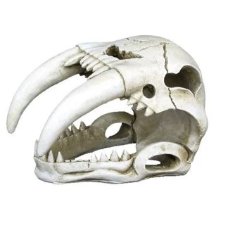 Weco Ornament Sabertooth Skull
