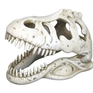 Weco Ornament T-REX Skull