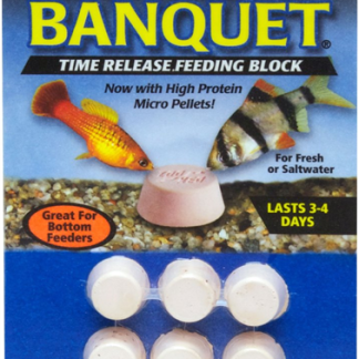 ZooMed Original Banquet Block - Mini