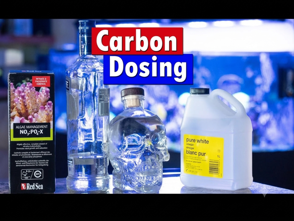 Carbon Dosing: Vodka, Vinegar & Biopellets
