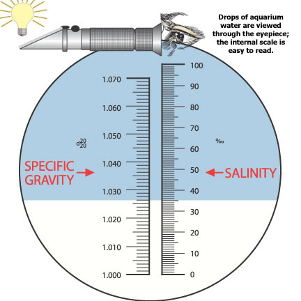 Salinity & Specific Gravity: Getting It Right