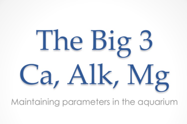 Alkalinity, Calcium & Magnesium: The Big Three